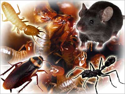 please add alternative text please add alternative text